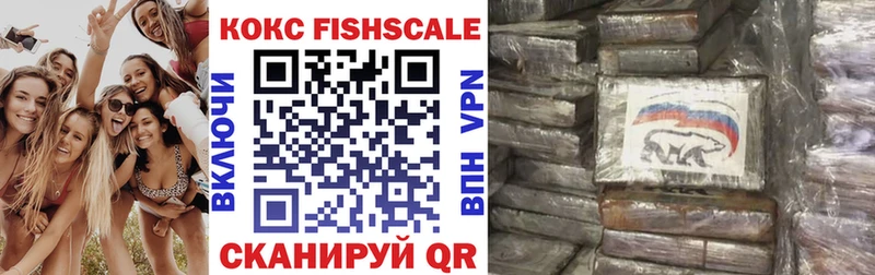 мега tor Камызяк COCAIN 99% где купить наркотик