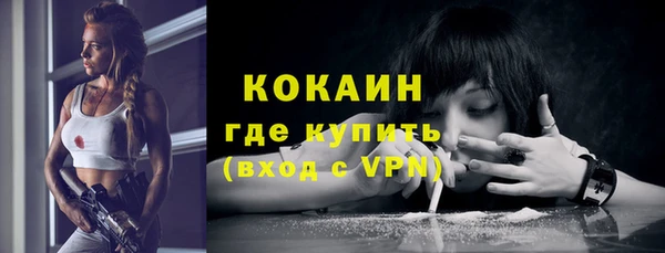 стаф Абаза