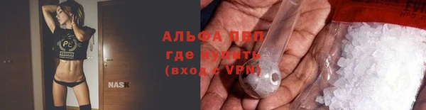 стаф Абаза