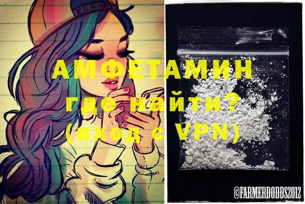 стаф Абаза