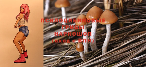 стаф Абаза