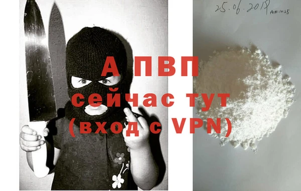 стаф Абаза