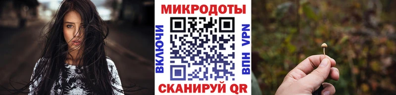 продажа наркотиков Камызяк Псилоцибиновые грибы мицелий